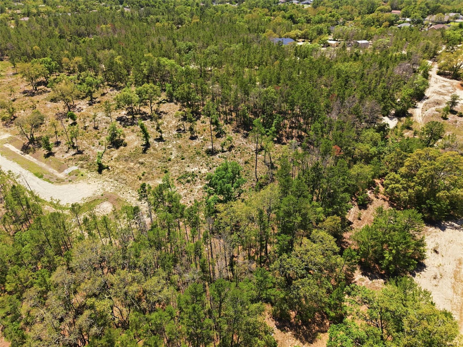 13331 HAVEN (LOT 4) TRL, WEEKI WACHEE, FL — photo 7
