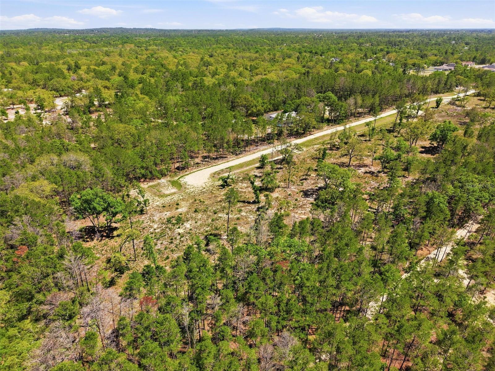 13331 HAVEN (LOT 4) TRL, WEEKI WACHEE, FL — photo 8
