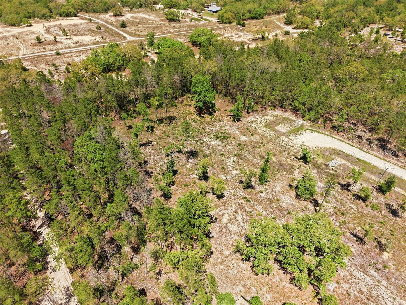 13331 HAVEN (LOT 4) TRL, WEEKI WACHEE, FL — photo 11