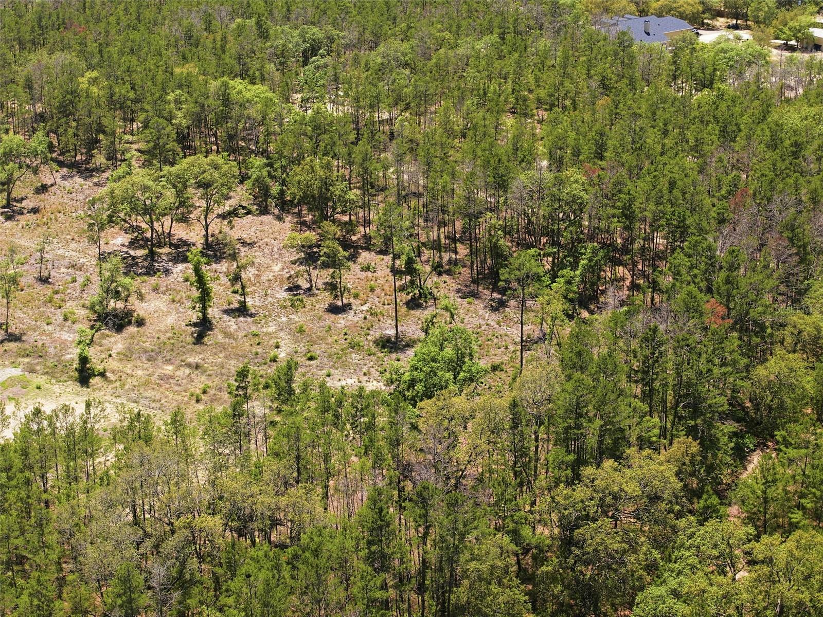 13331 HAVEN (LOT 4) TRL, WEEKI WACHEE, FL — photo 16