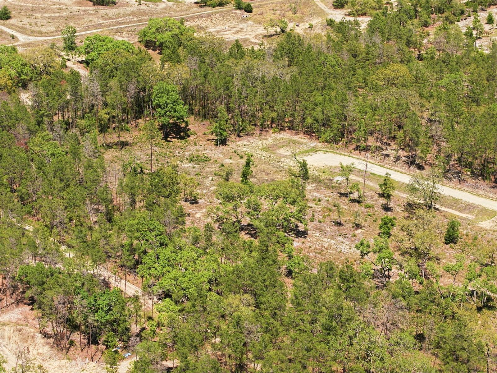 13331 HAVEN (LOT 4) TRL, WEEKI WACHEE, FL — photo 17