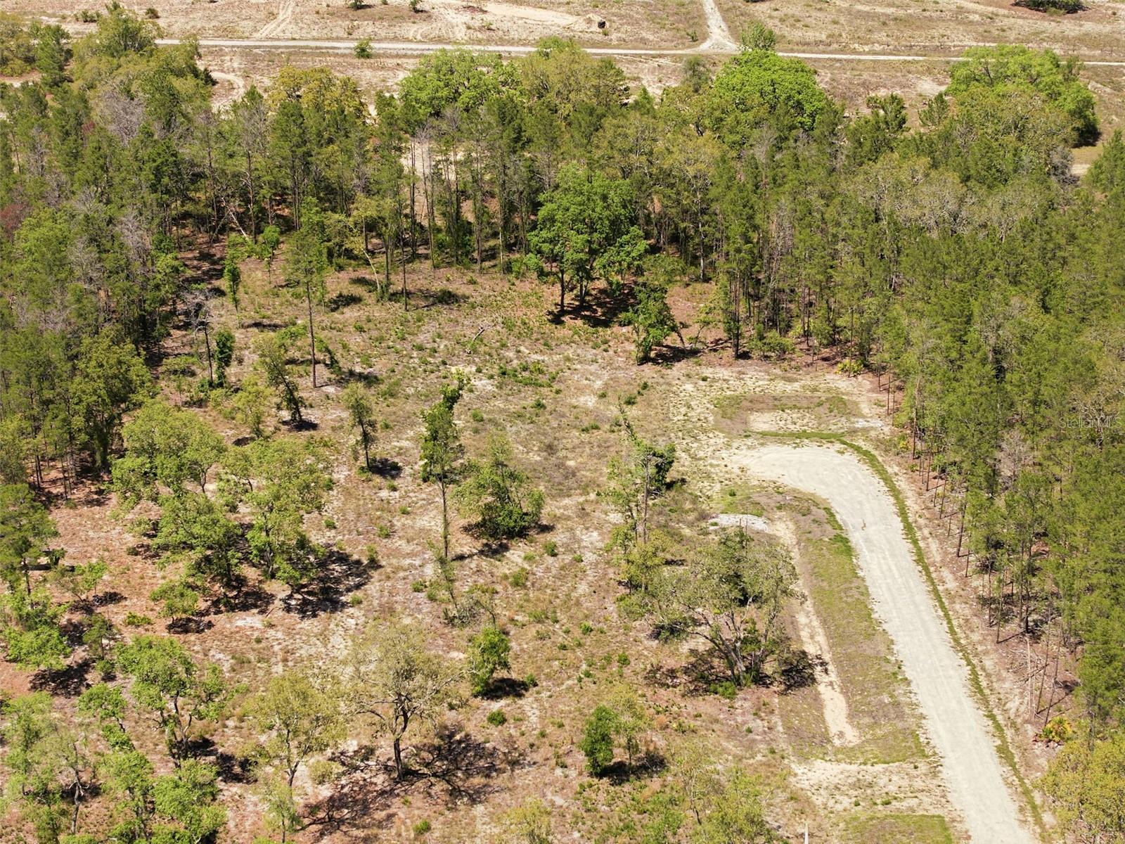 13331 HAVEN (LOT 4) TRL, WEEKI WACHEE, FL — photo 18