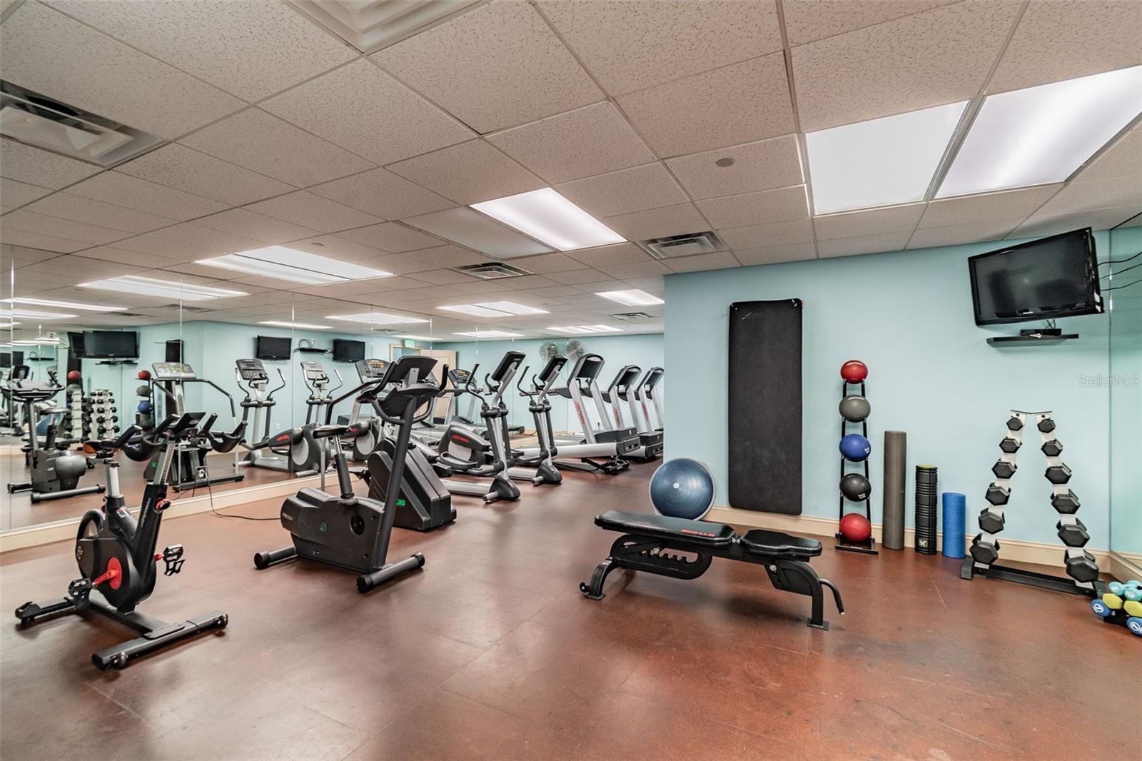 345 BAYSHORE BLVD #1206, TAMPA, FL — photo 36