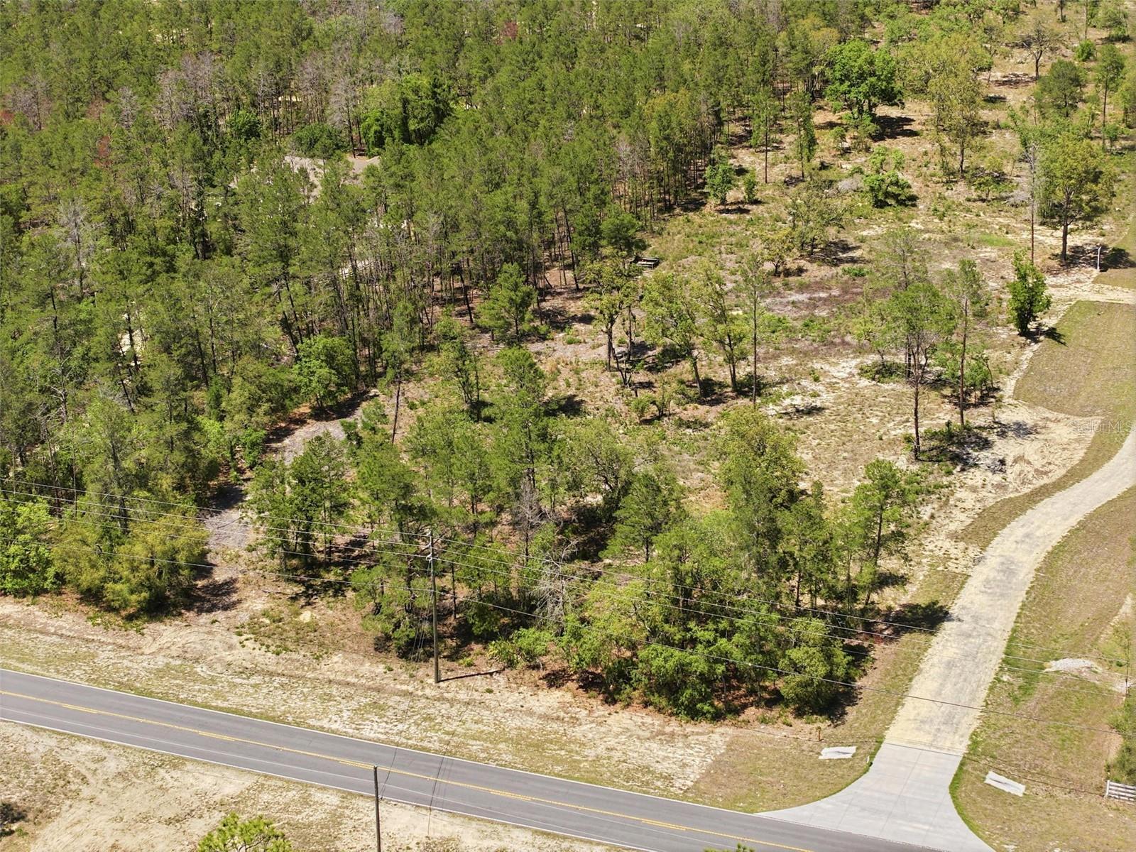 13183 HAVEN (LOT 1) TRL, WEEKI WACHEE, FL — photo 7