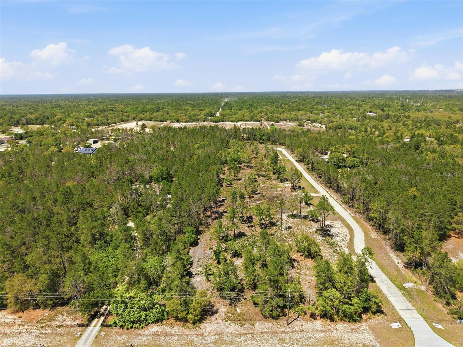 13183 HAVEN (LOT 1) TRL, WEEKI WACHEE, FL — photo 8