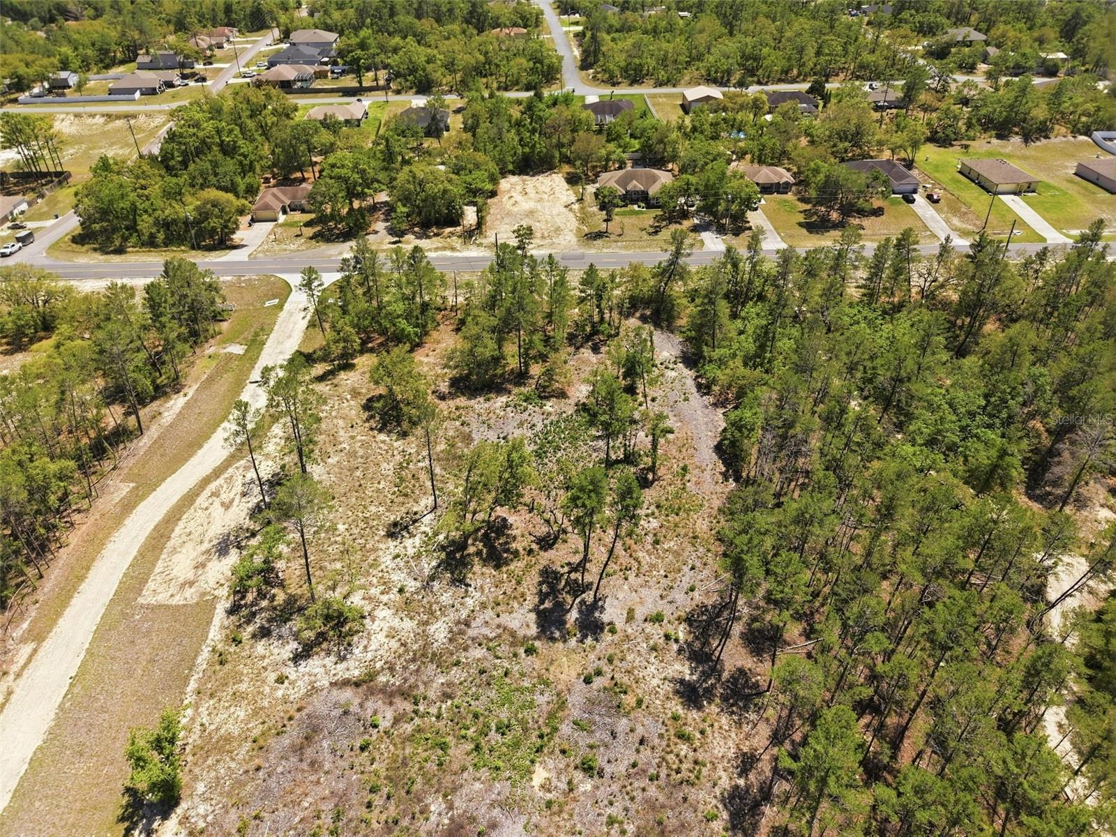 13183 HAVEN (LOT 1) TRL, WEEKI WACHEE, FL — photo 11