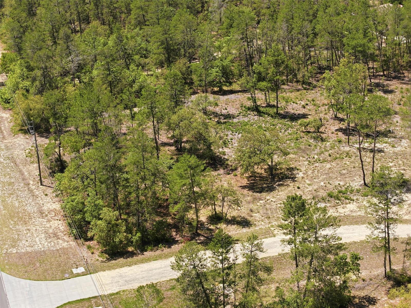 13183 HAVEN (LOT 1) TRL, WEEKI WACHEE, FL — photo 14