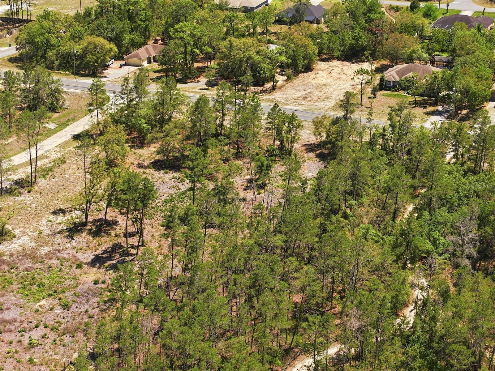 13183 HAVEN (LOT 1) TRL, WEEKI WACHEE, FL — photo 21
