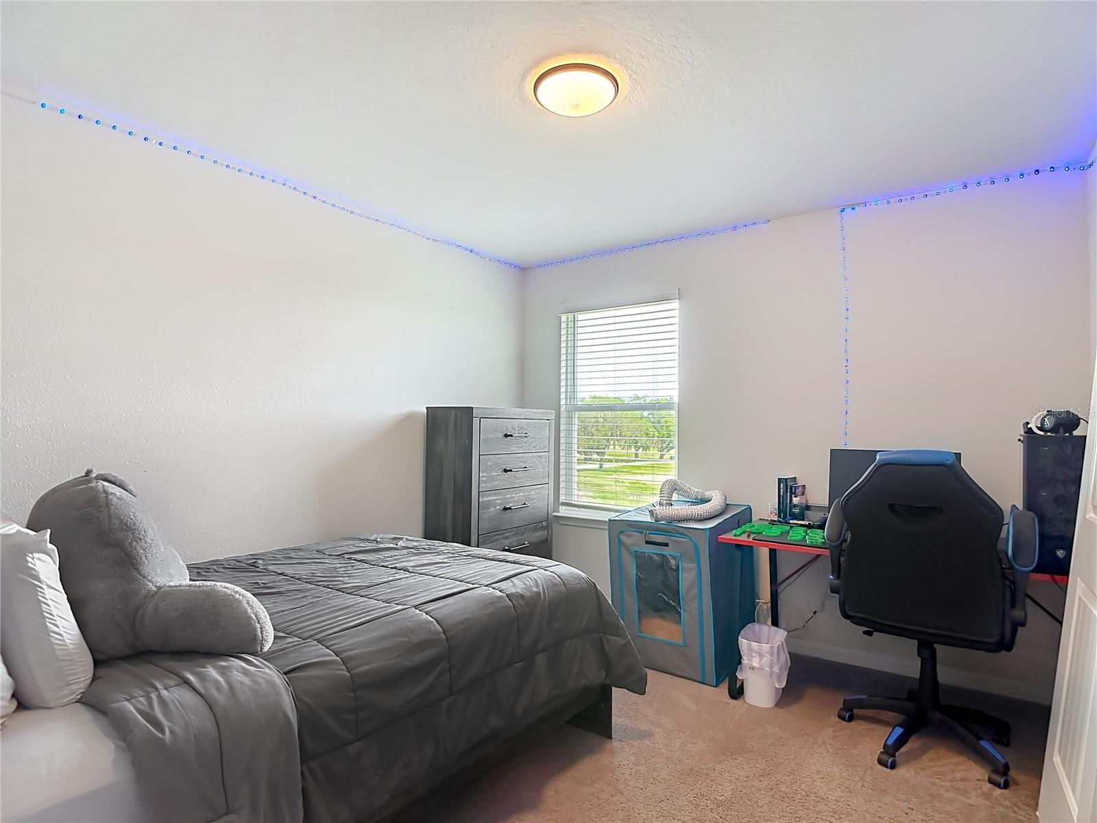 6136 BRADFORD WOODS DR, ZEPHYRHILLS, FL — photo 23