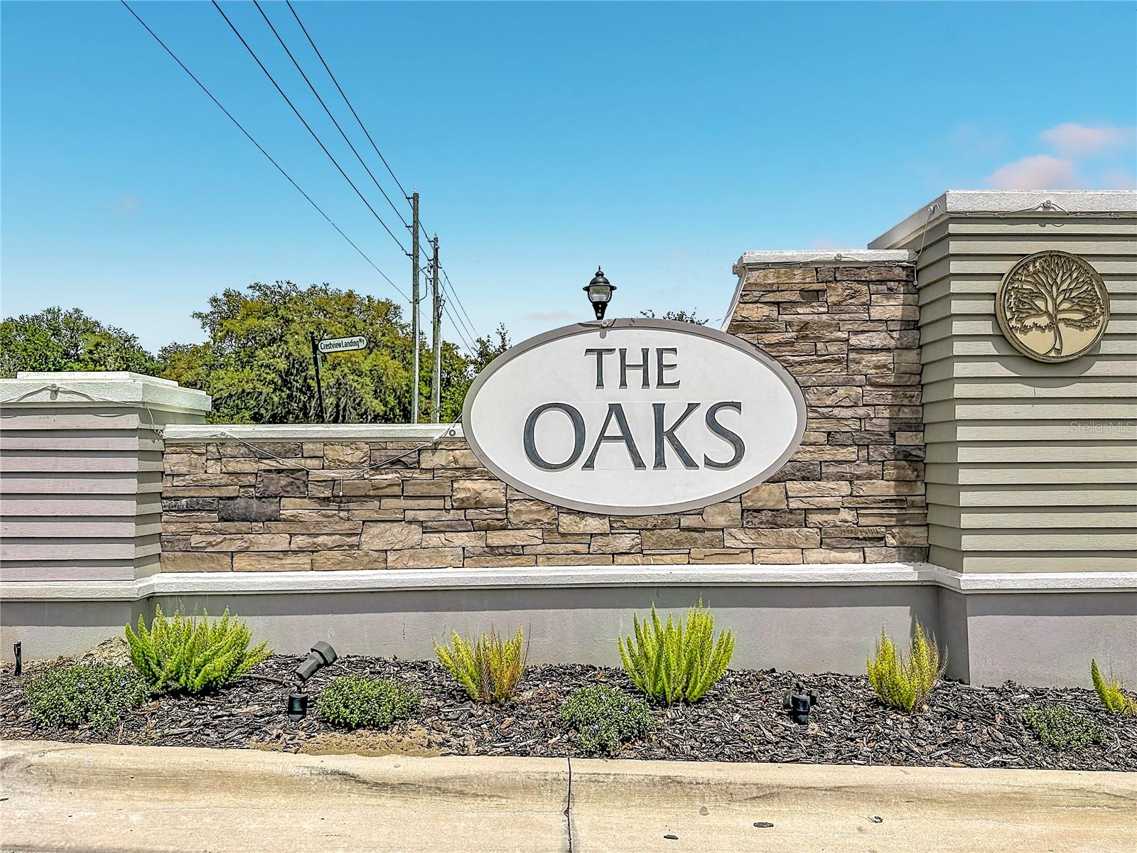6136 BRADFORD WOODS DR, ZEPHYRHILLS, FL — photo 36