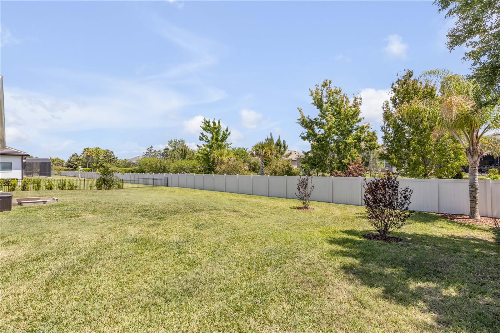 3055 ISOLA BELLA BLVD, MOUNT DORA, FL — photo 120