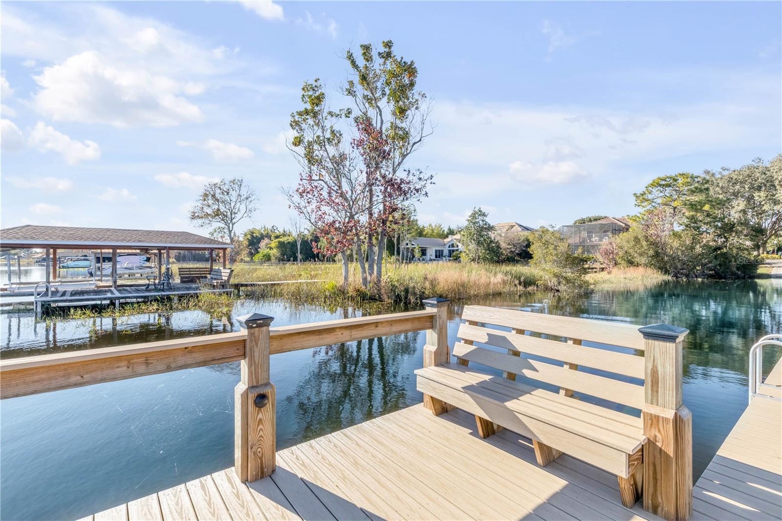 3055 ISOLA BELLA BLVD, MOUNT DORA, FL — photo 171
