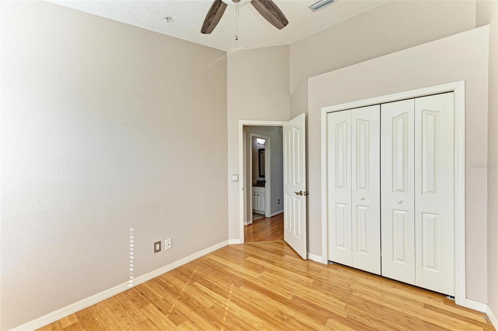 3047 POINTEVIEW DR, TAMPA, FL — photo 29