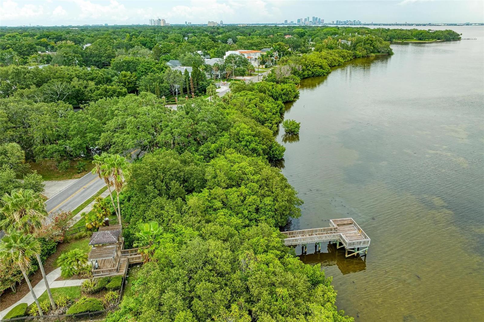 3047 POINTEVIEW DR, TAMPA, FL — photo 59