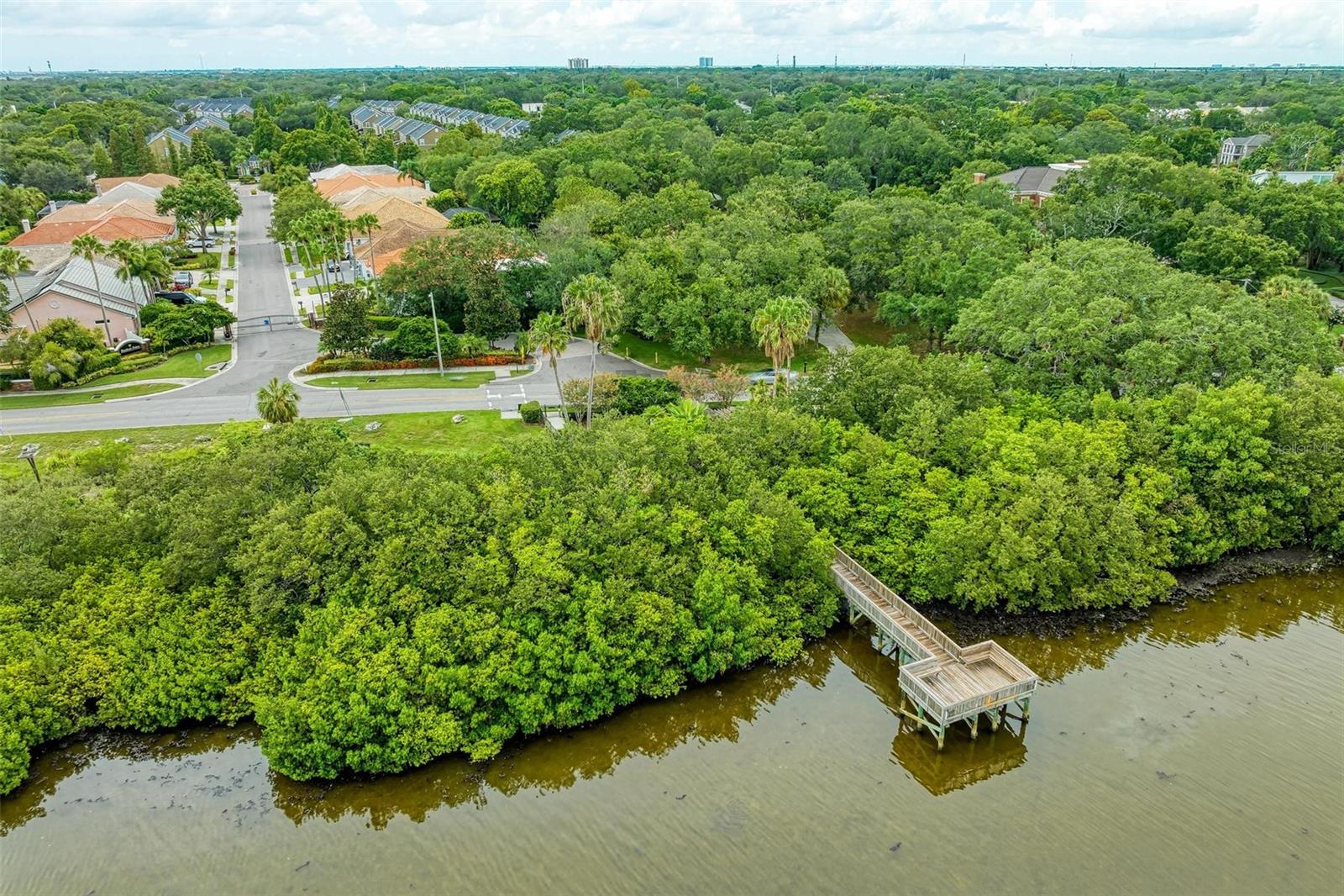 3047 POINTEVIEW DR, TAMPA, FL — photo 60
