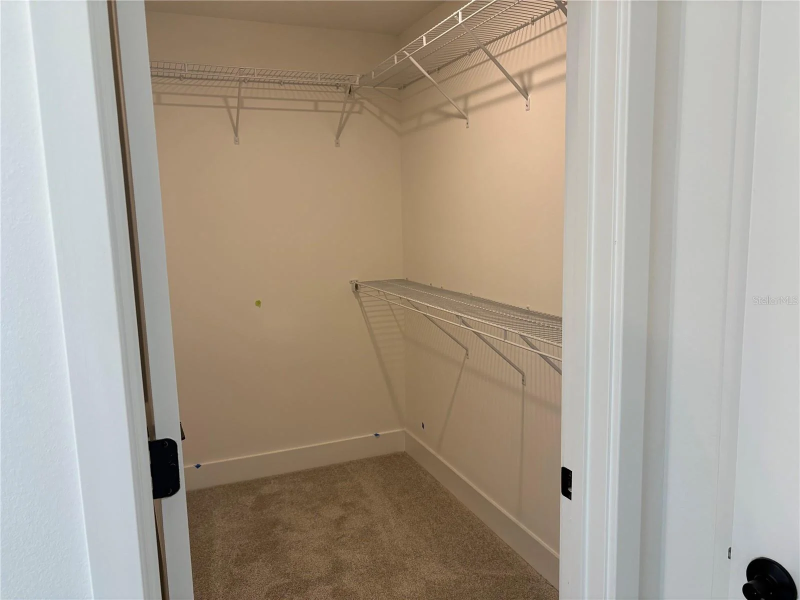 250 VERNY GROVE LN, LEESBURG, FL — photo 22