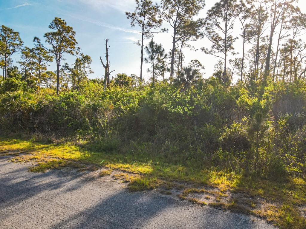 BLUELEAF DR, NORTH PORT, FL — photo 2