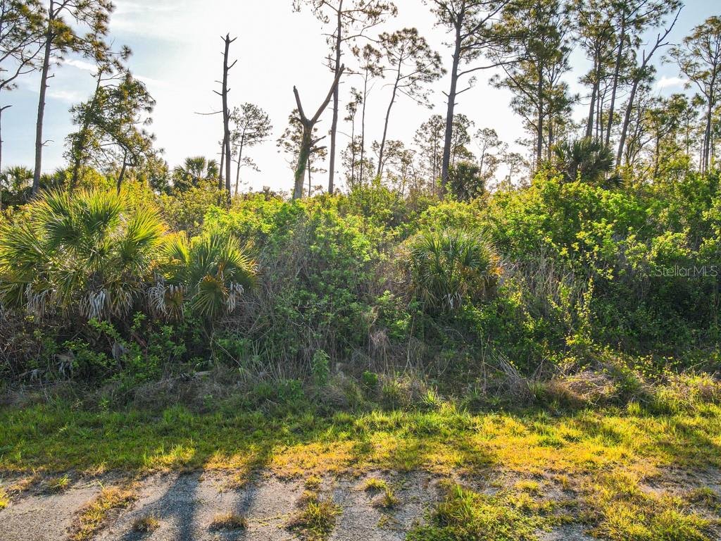 BLUELEAF DR, NORTH PORT, FL — photo 3