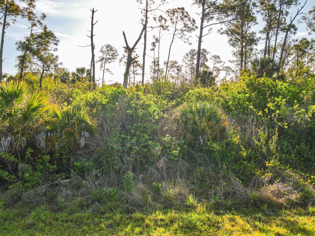 BLUELEAF DR, NORTH PORT, FL — photo 4