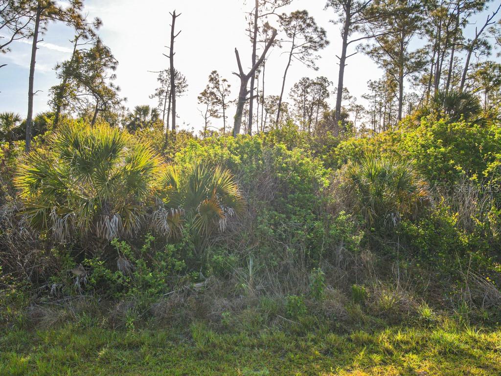 BLUELEAF DR, NORTH PORT, FL — photo 5