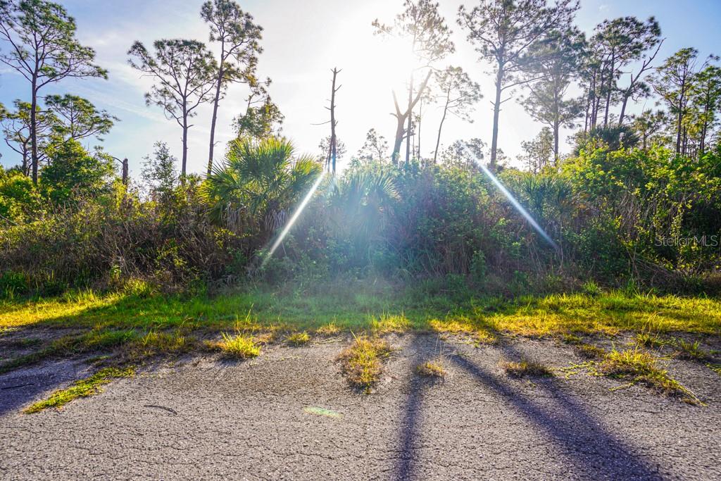 BLUELEAF DR, NORTH PORT, FL — photo 6