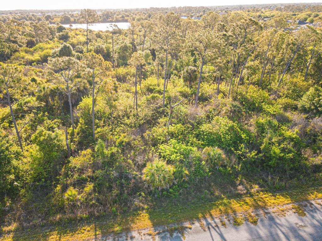 BLUELEAF DR, NORTH PORT, FL — photo 9