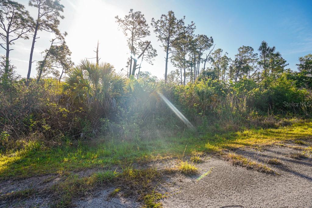 BLUELEAF DR, NORTH PORT, FL — photo 16