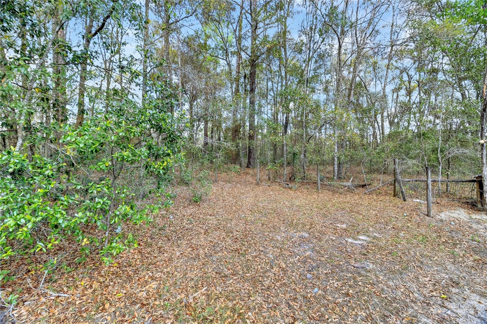 14395 NE 50TH PL, WILLISTON, FL — photo 23