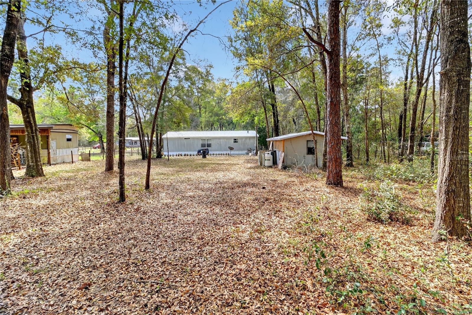 14395 NE 50TH PL, WILLISTON, FL — photo 24