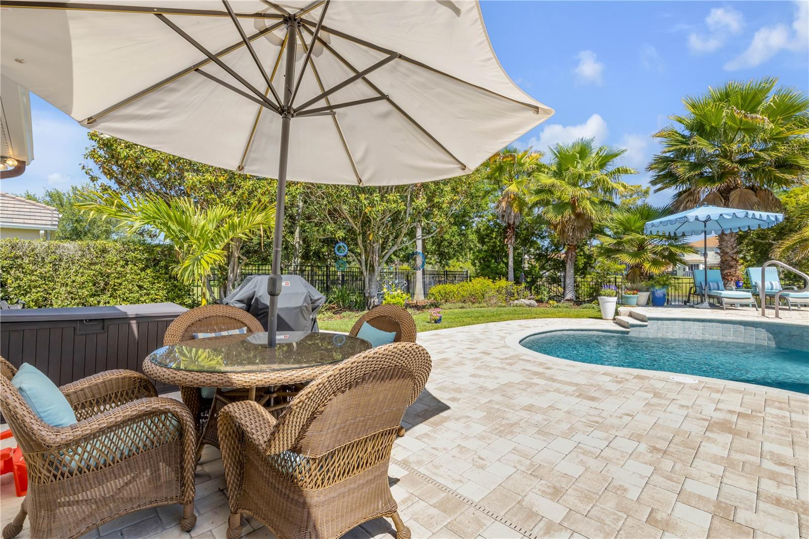 3029 ISOLA BELLA BLVD, MOUNT DORA, FL — photo 113