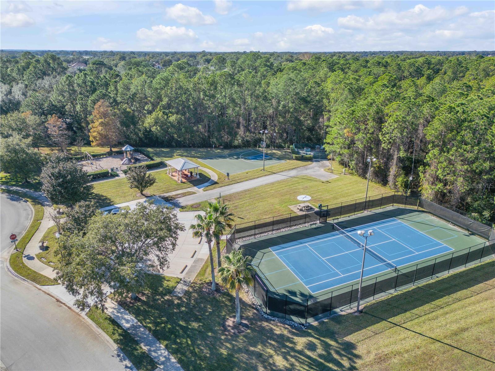 3029 ISOLA BELLA BLVD, MOUNT DORA, FL — photo 157