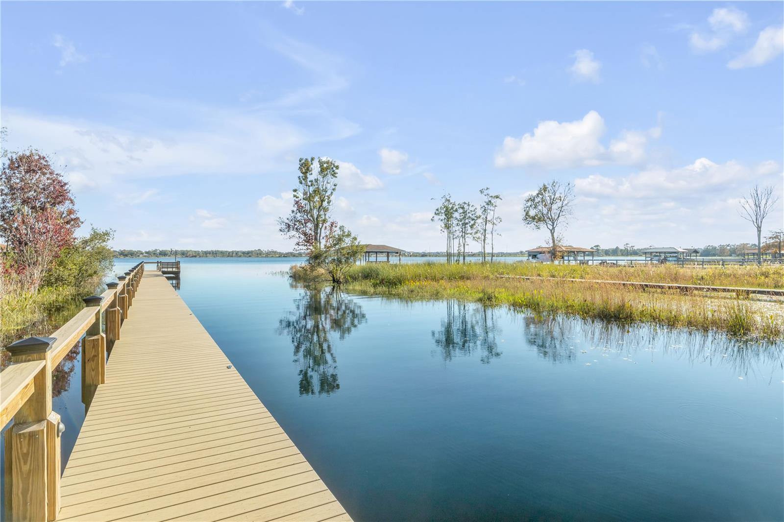 3029 ISOLA BELLA BLVD, MOUNT DORA, FL — photo 165