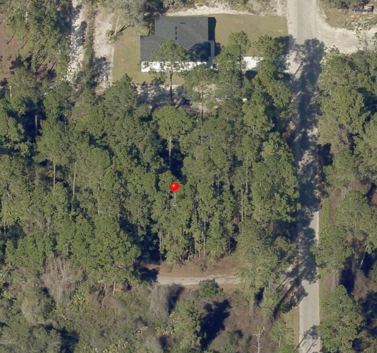 XXX MALAUKA PASS PASS, OCKLAWAHA, FL — photo 2