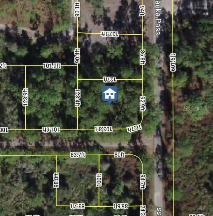 XXX MALAUKA PASS PASS, OCKLAWAHA, FL — photo 3