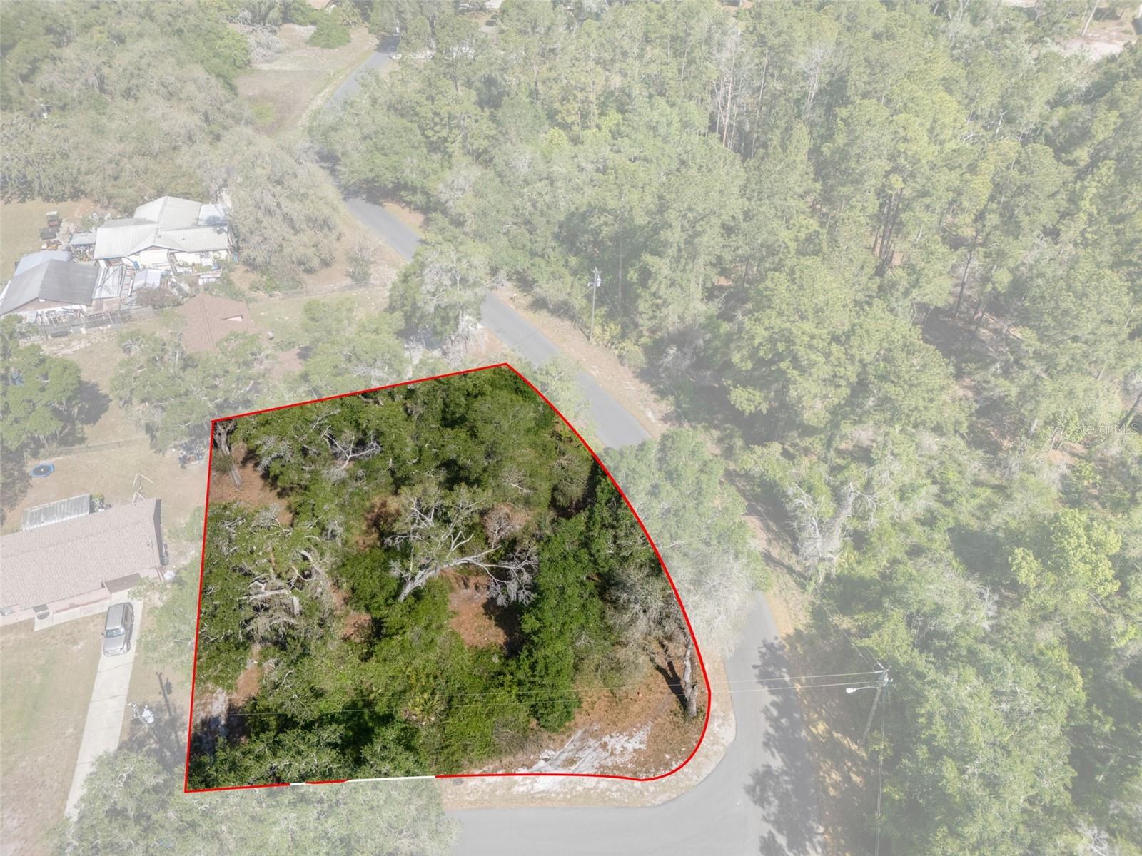 5043 CARDINAL DR, DADE CITY, FL — photo 6