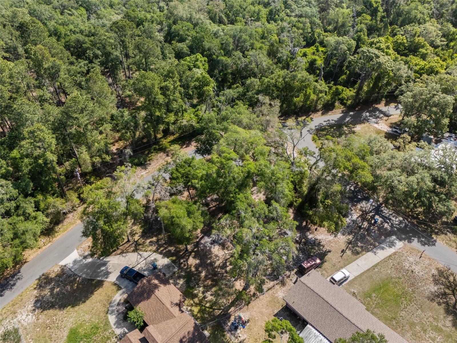 5043 CARDINAL DR, DADE CITY, FL — photo 11
