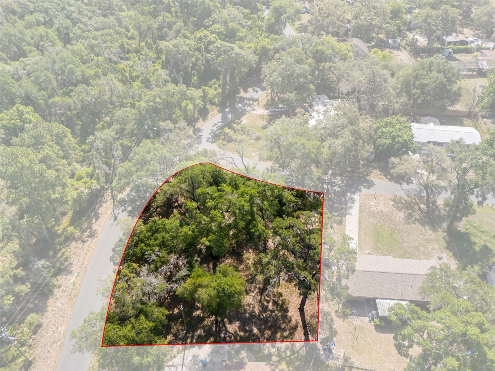 5043 CARDINAL DR, DADE CITY, FL — photo 13