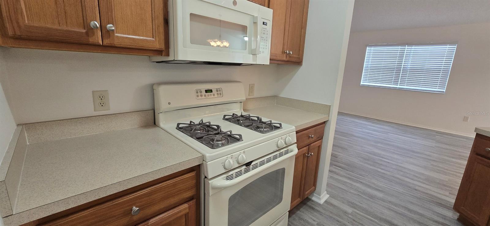 1009 RIDGEVILLE RD, THE VILLAGES, FL — photo 5