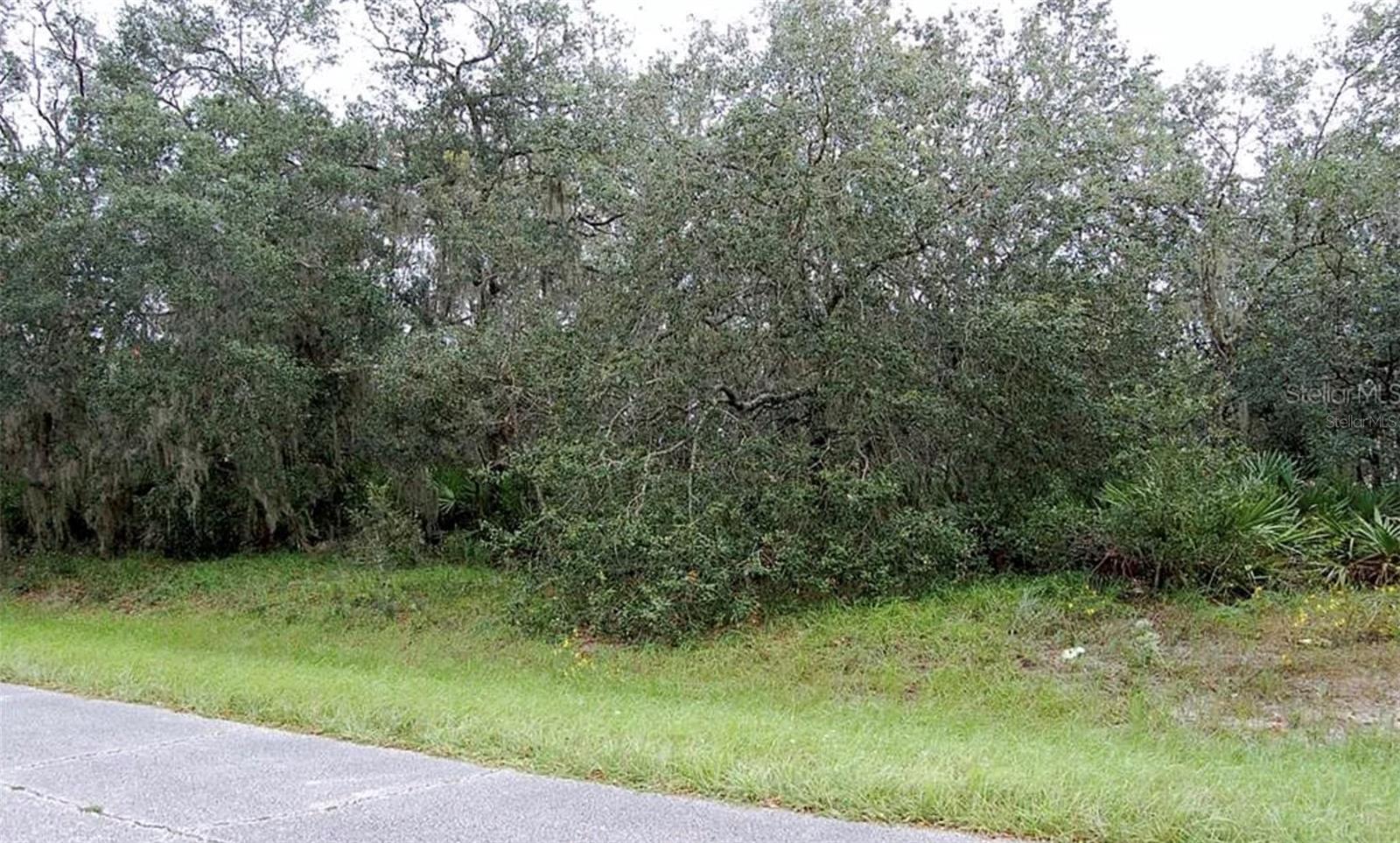 0 ST JOHNS CT, POINCIANA, FL