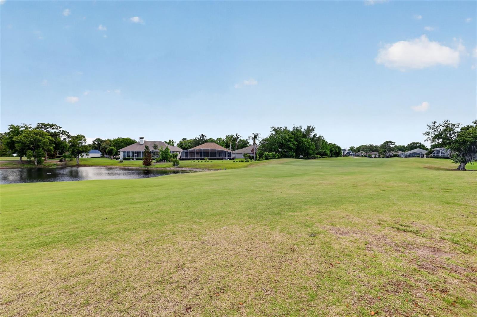 1760 EDGEWATER DR, MOUNT DORA, FL — photo 96