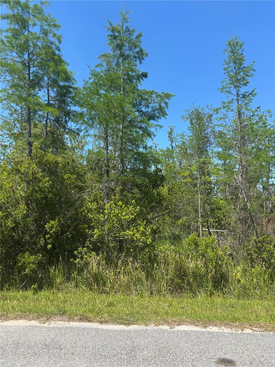 ATLAS DR, ST CLOUD, FL
