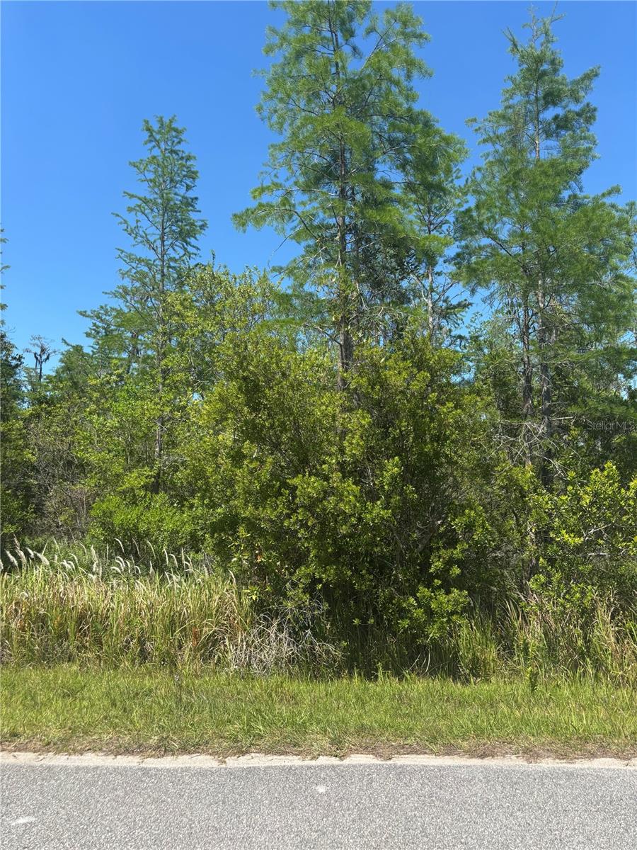 ATLAS DR, ST CLOUD, FL — photo 2