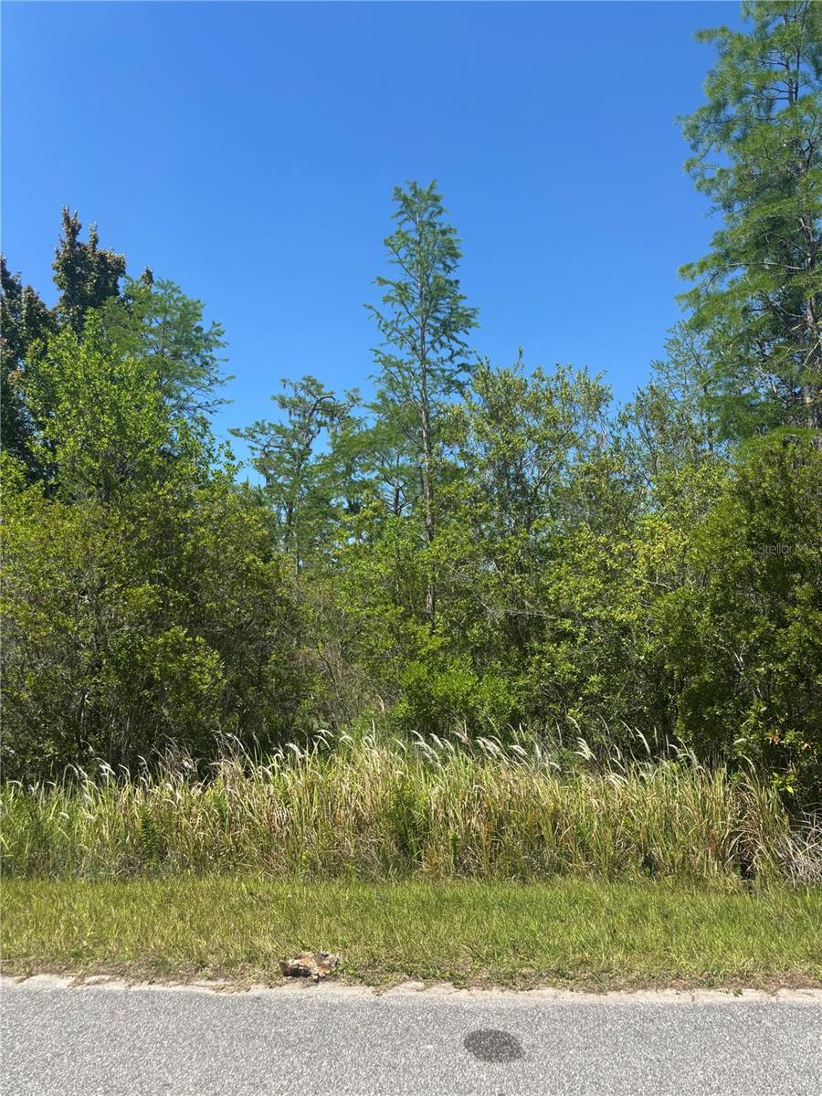 ATLAS DR, ST CLOUD, FL — photo 3