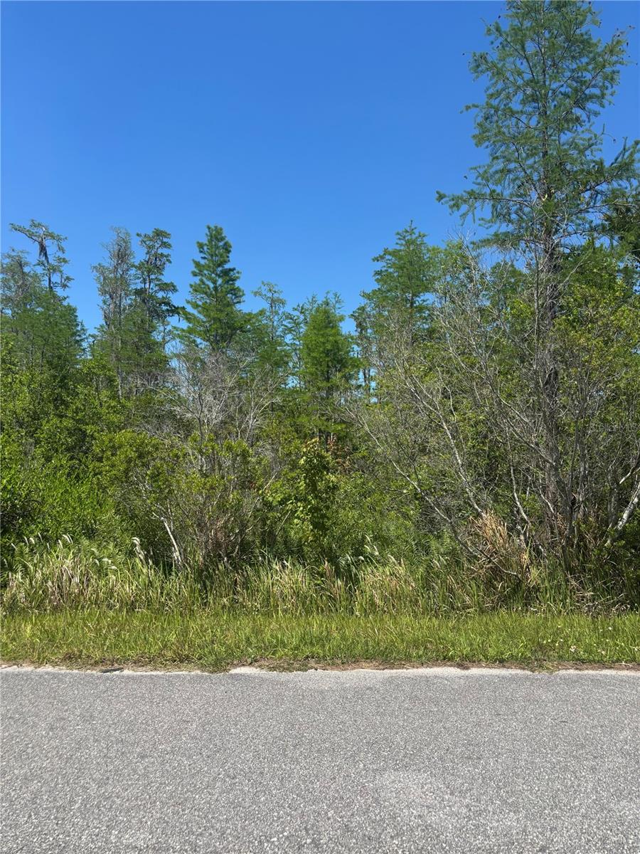 ATLAS DR, ST CLOUD, FL — photo 5