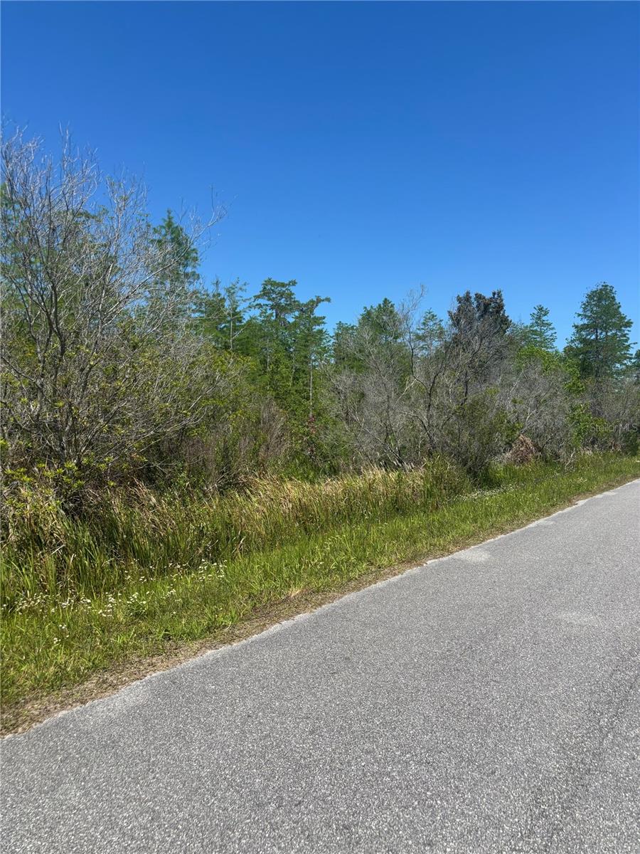 ATLAS DR, ST CLOUD, FL — photo 9