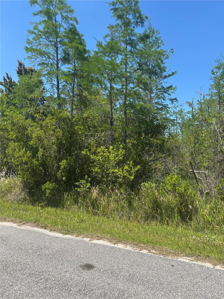 ATLAS DR, ST CLOUD, FL — photo 10