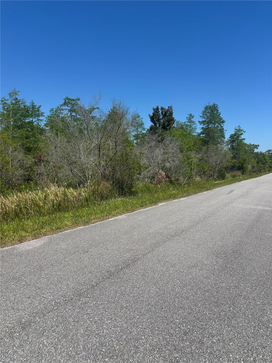 ATLAS DR, ST CLOUD, FL — photo 11