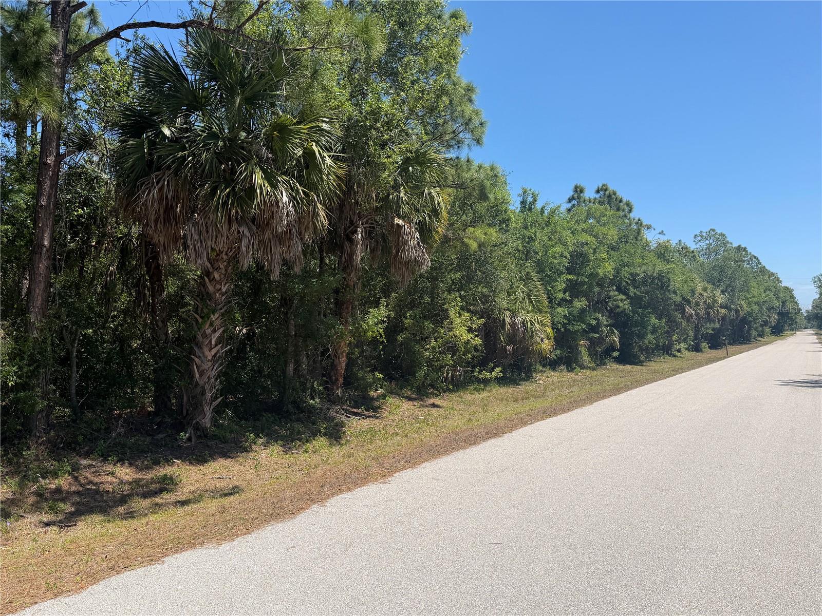 26180 HAPSBURG RD, PUNTA GORDA, FL — photo 6
