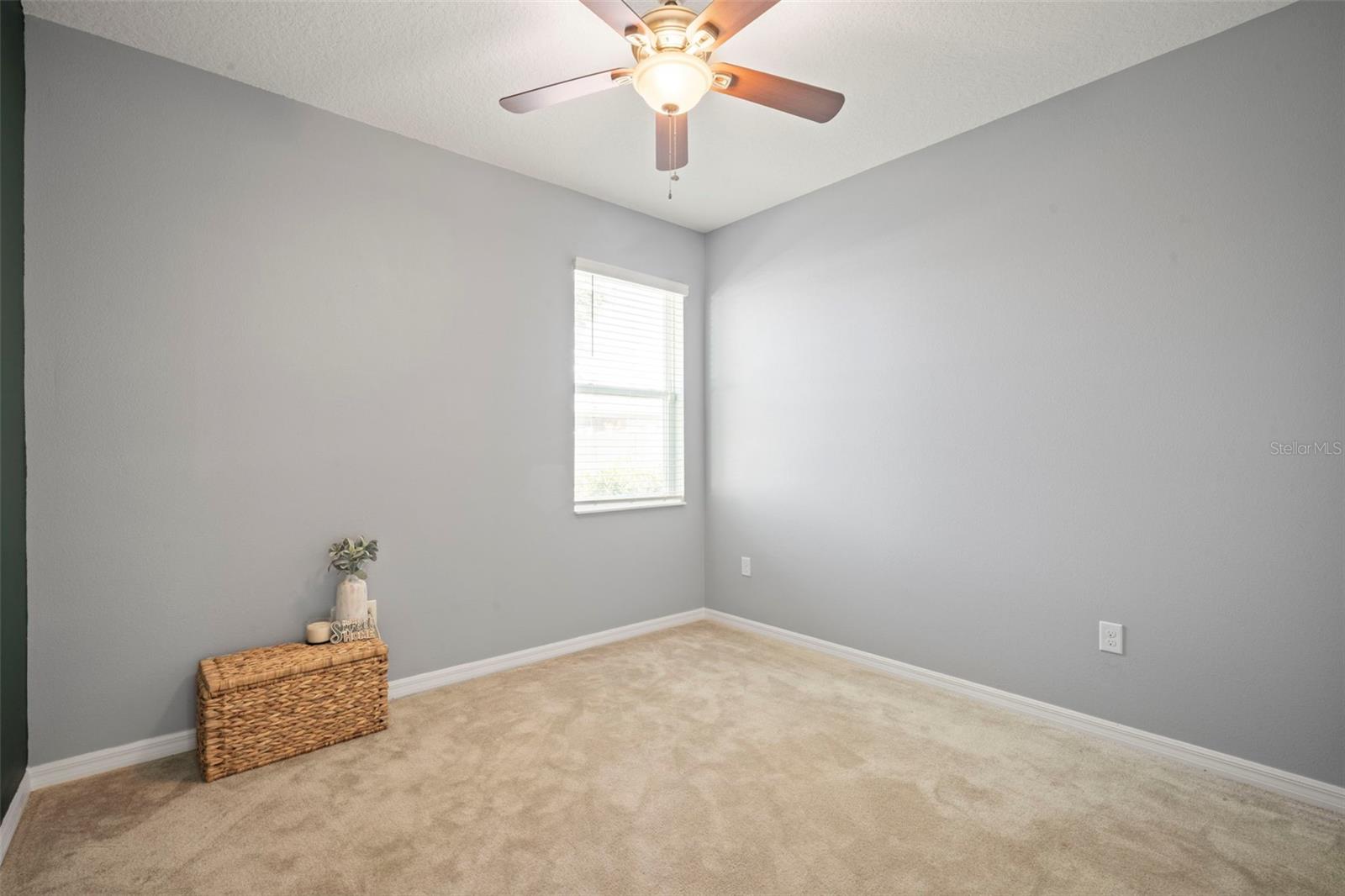 3261 BETHPAGE LOOP, MOUNT DORA, FL — photo 44