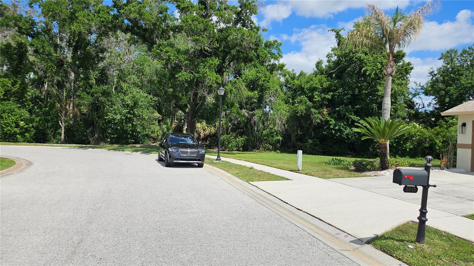 6053 GENTLE BEN CIR, WESLEY CHAPEL, FL — photo 51